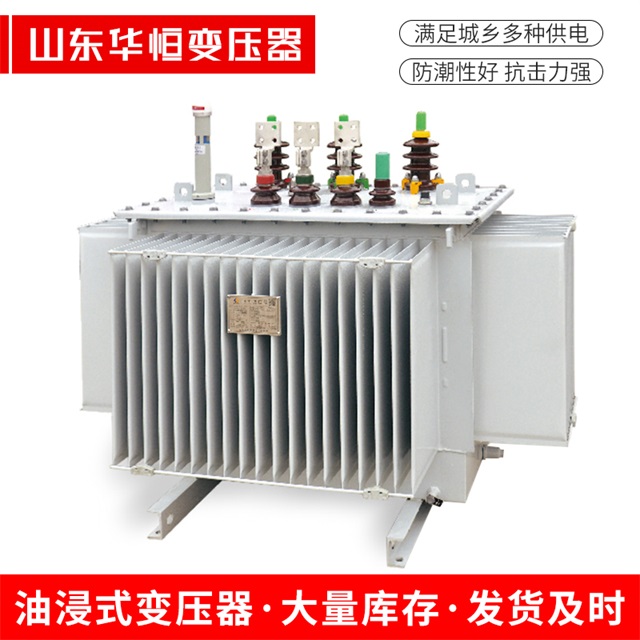 S13-10000/35定边定边定边电力变压器